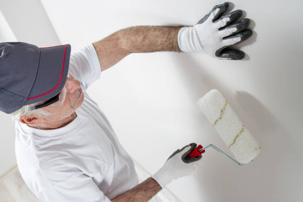 Best Mold Remediation for Healthcare Facilities  in Tiffin, OH