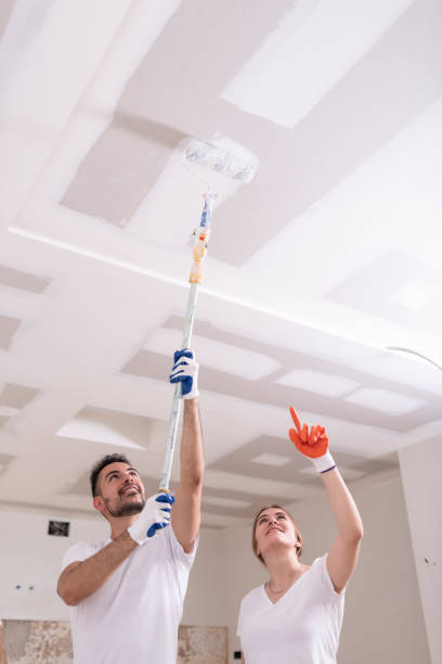 Best Basement Mold Removal  in Tiffin, OH