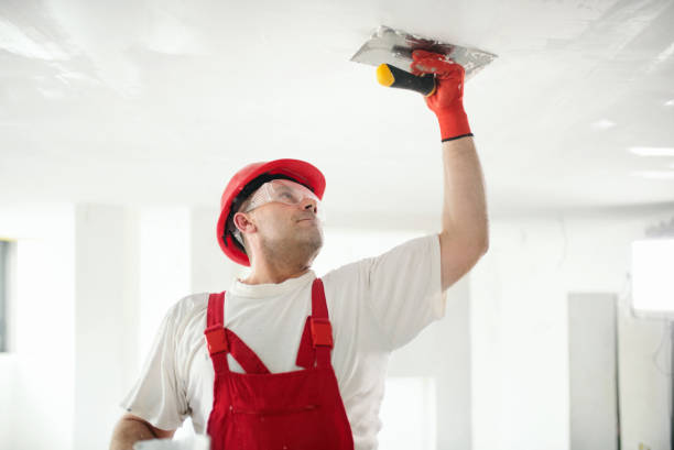 Best HVAC Mold Inspection and Cleaning  in Tiffin, OH