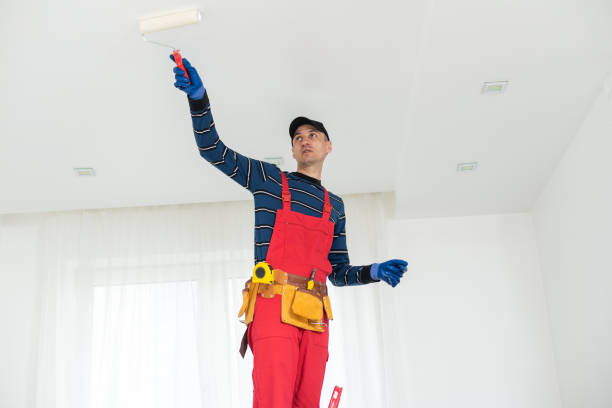 Best Real Estate Mold Inspection  in Tiffin, OH