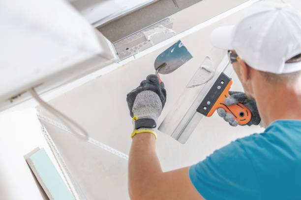 Best Asbestos and Lead Testing During Mold Inspection  in Tiffin, OH